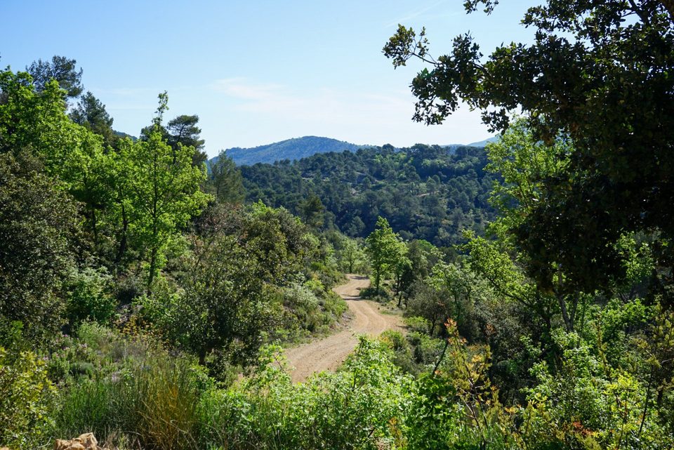 SAINT-ZACHARIE - La forêt du Défens par la piste de l'eau