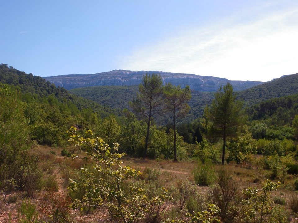 La vue sur l'ubac de la montagne