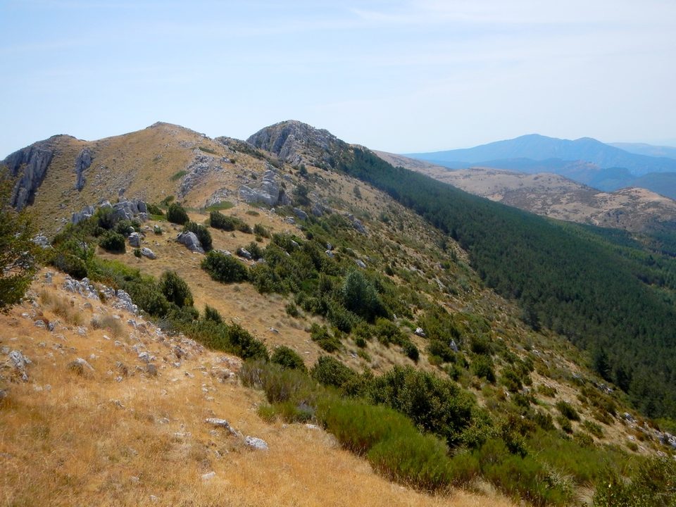 En cheminant sur les crêtes