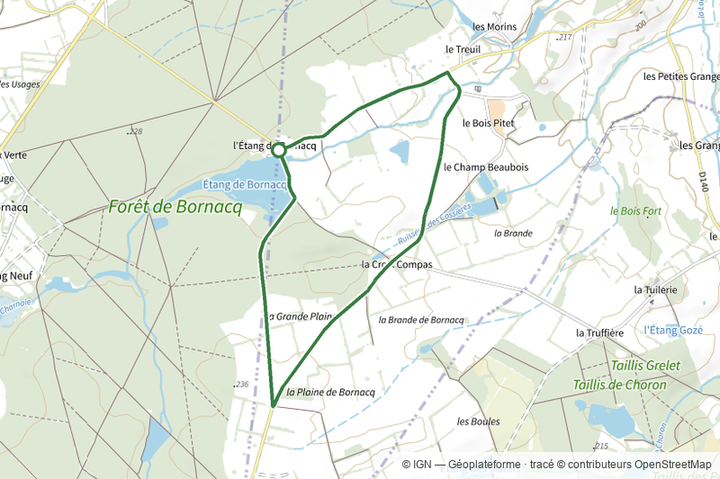 L'Étang de Bornacq
