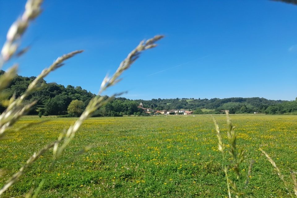 Vallée Louge- Terrebasse 1