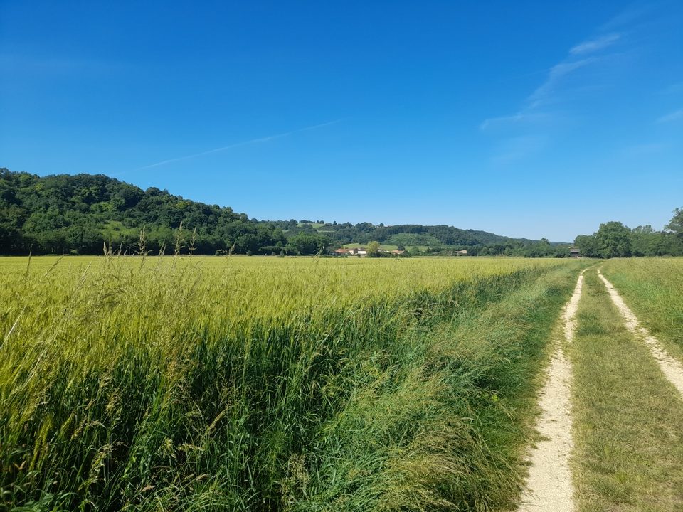 Vallée Louge- 2