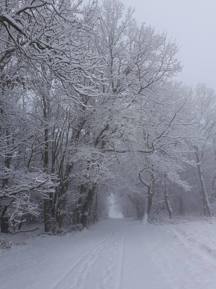 Hiver sous la neige