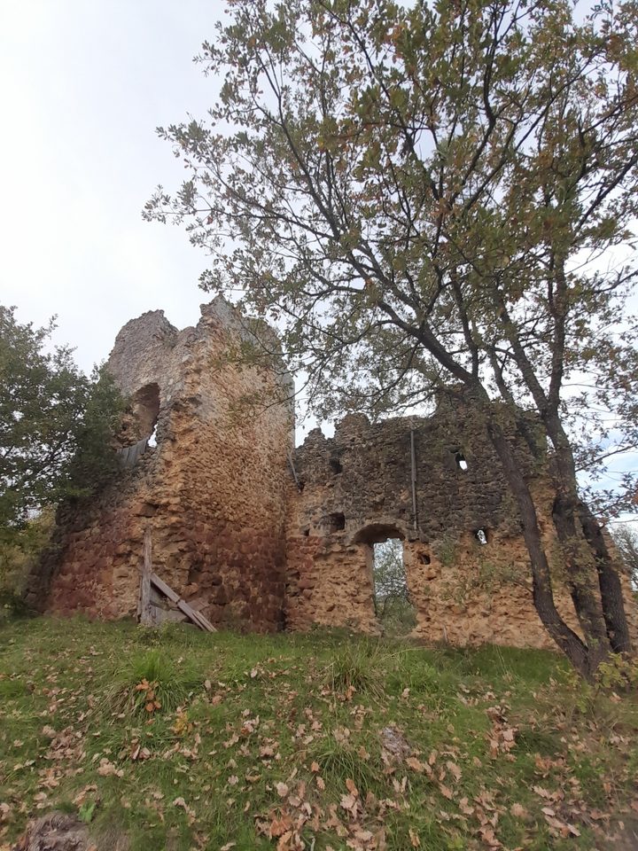 Chateau-Ruines-5