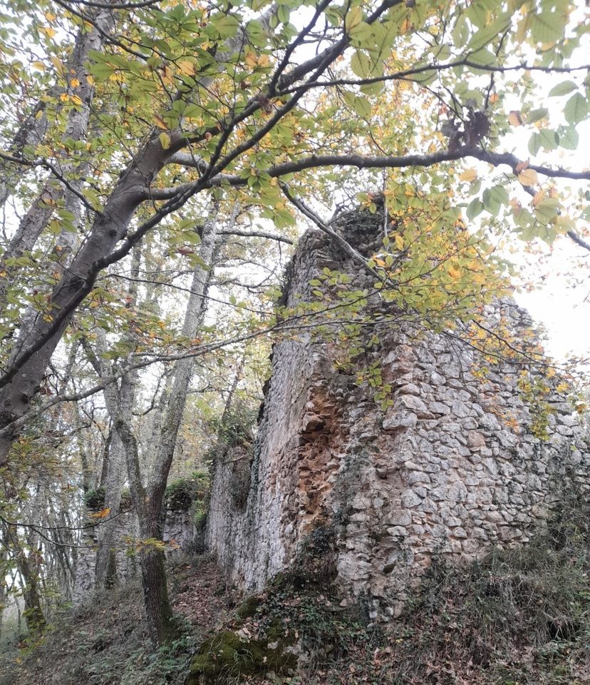 Chateau-Floris
