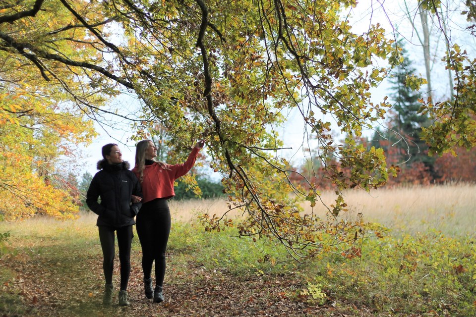 cardeilhac-sentier-de-larboretum