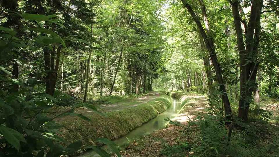 arboretum-5-cardeilhac-randonnee-le-cuing