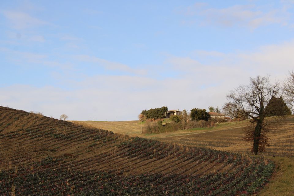 St pé d'Ares -1@FD-OTI CCC