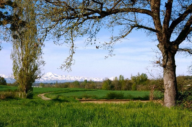 Saint-Ferréol de Comminges "Sentier de Saint-Ferréol de Comminges"