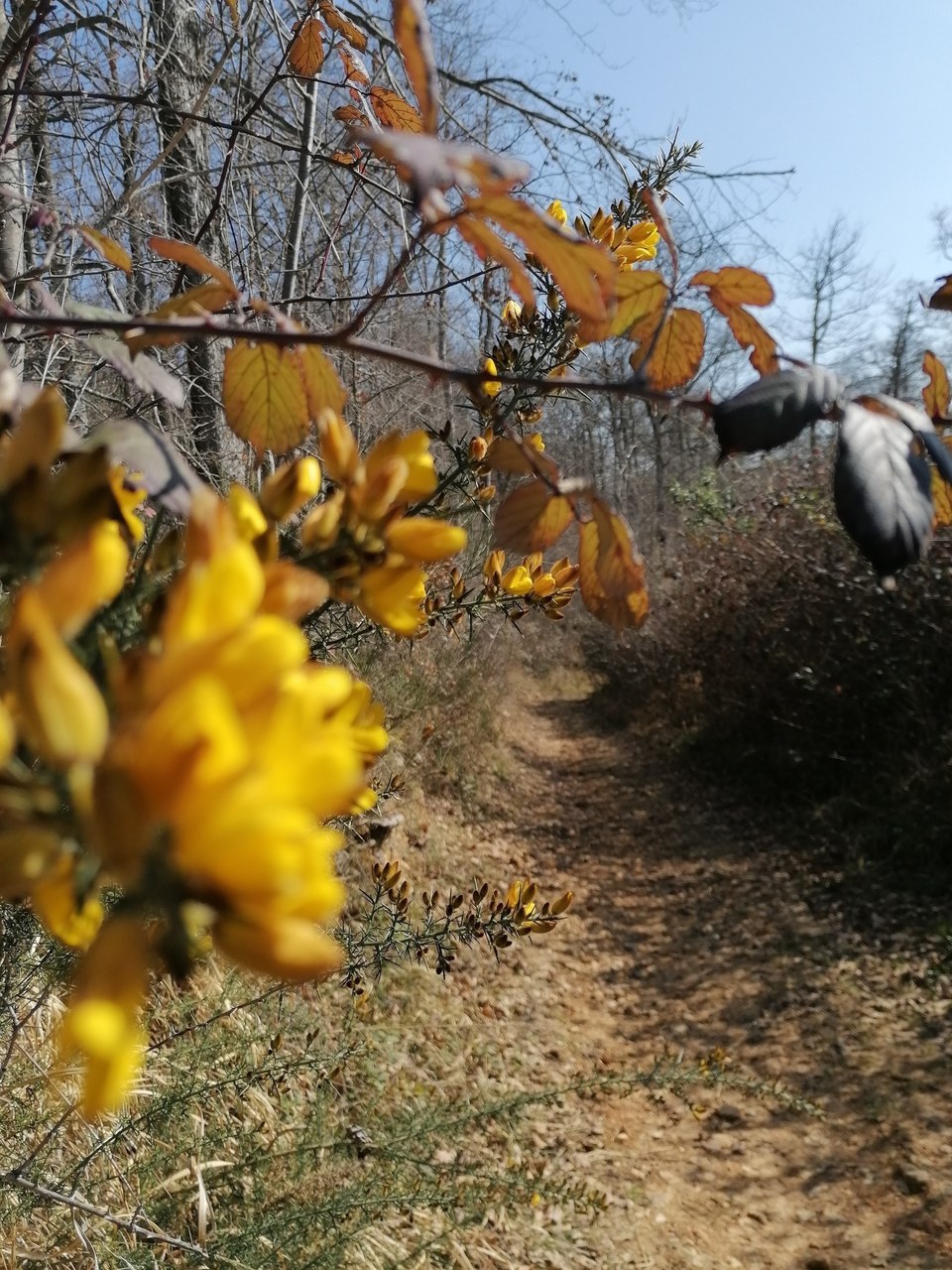 2023 Aurignac sentier des 7 collines (14)