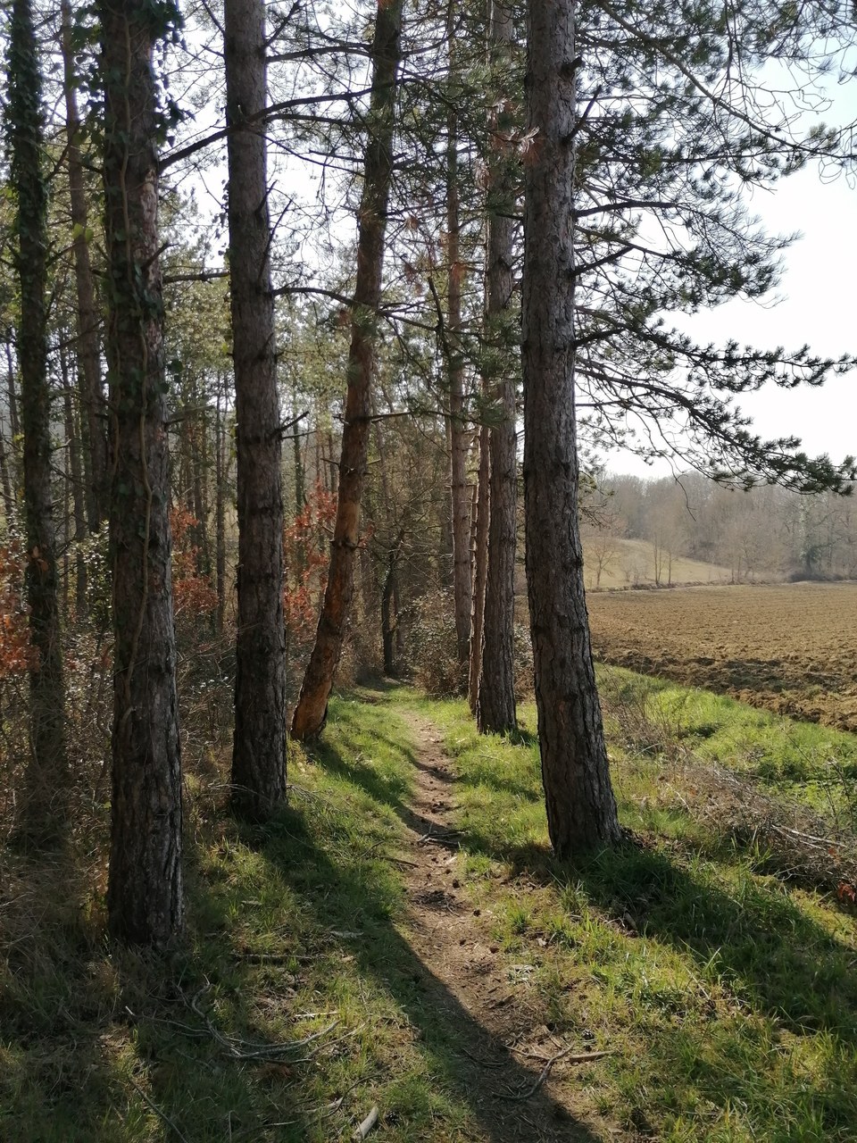 2023 Aurignac sentier des 7 collines (9)
