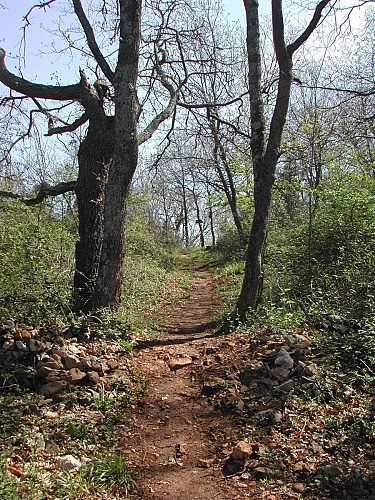 Aurignac "Sentier des Asphodèles"