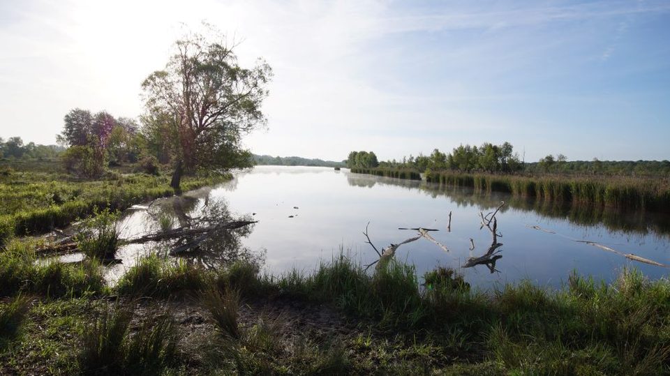Entre plateau picard et marais de Sacy