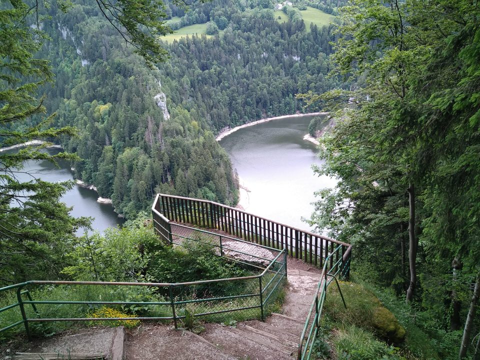 Les Taillards