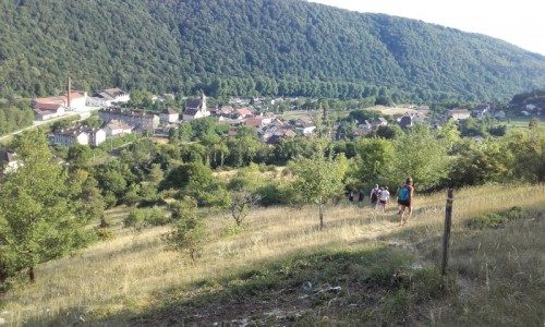 La pelouse sèche