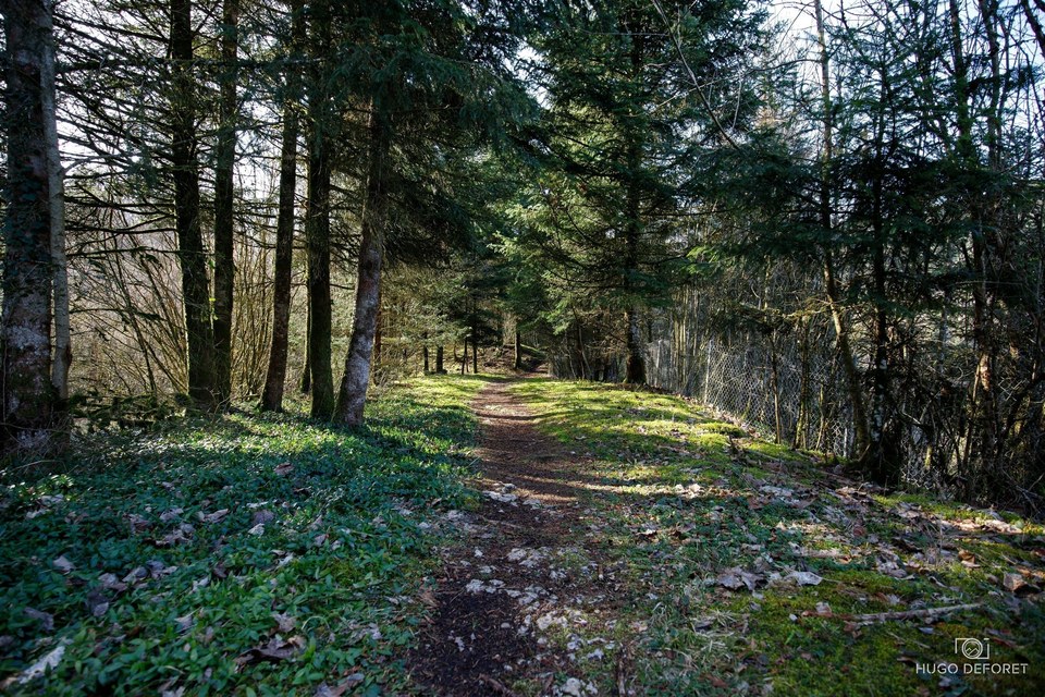 Sentier de la boucle de Sainte-Catherine