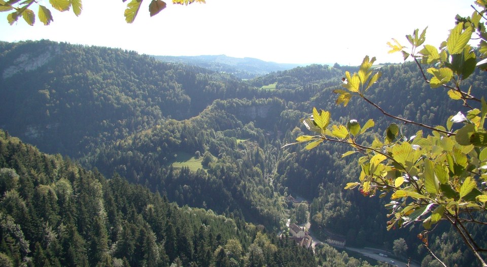 Point de vue de Chauve Roche, sur la source du Dessoubre