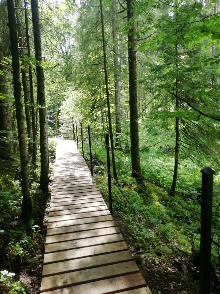 Passerelle de Theverot