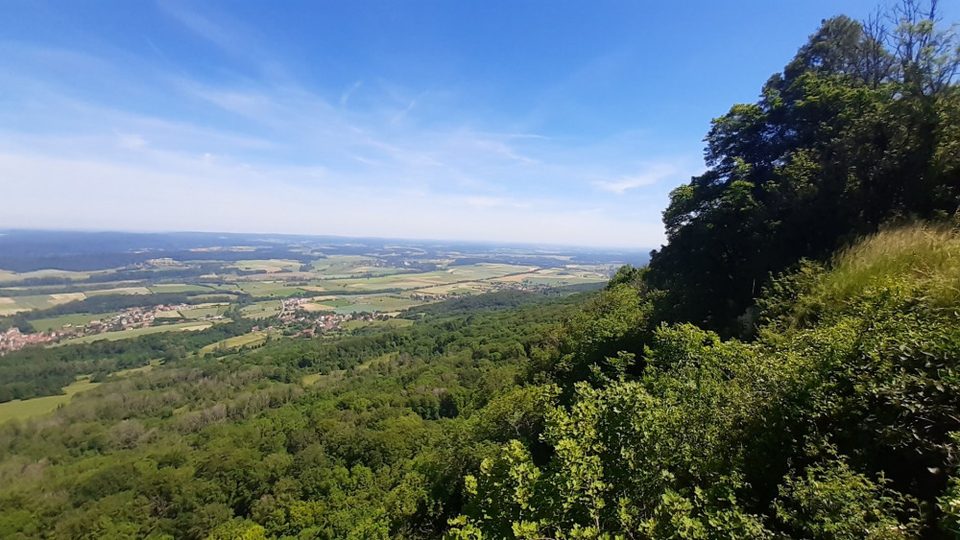 Dame Blanche et Vieux Tilleul