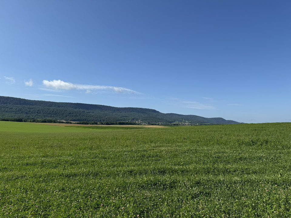 Vue sur les collines de la Dame Blanche