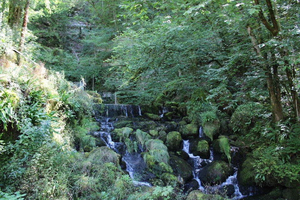 Source de la Doue