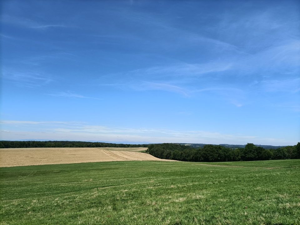 Champs et point de vue sur les Vosges