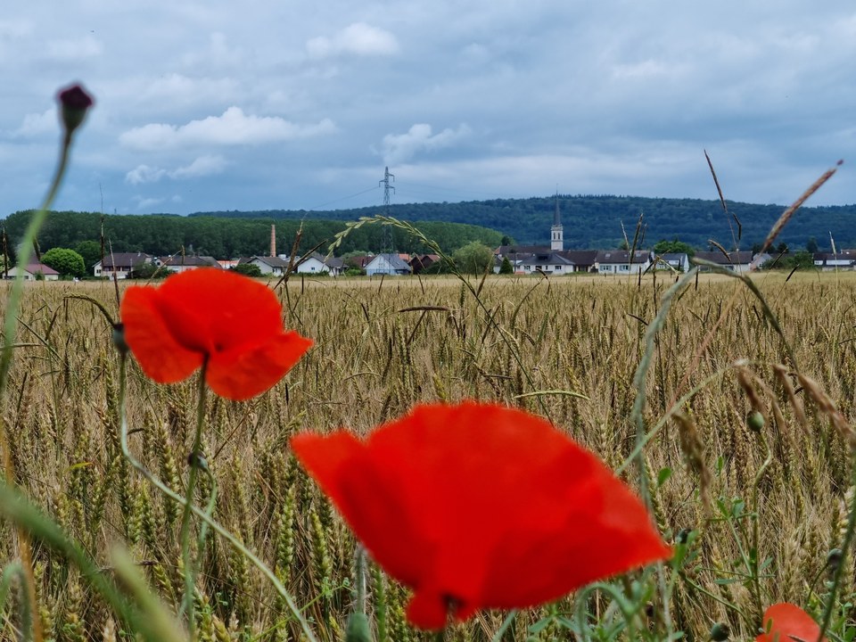 Vue de Mandeure