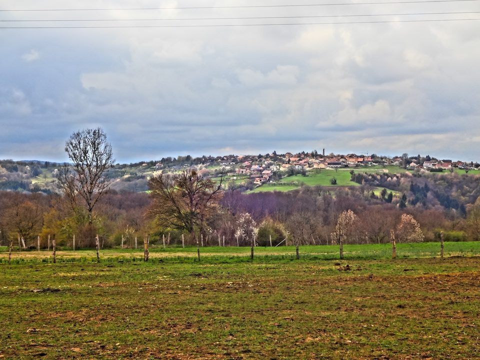 Le bois de Villars-sous-Écot et le Monument du Maquis