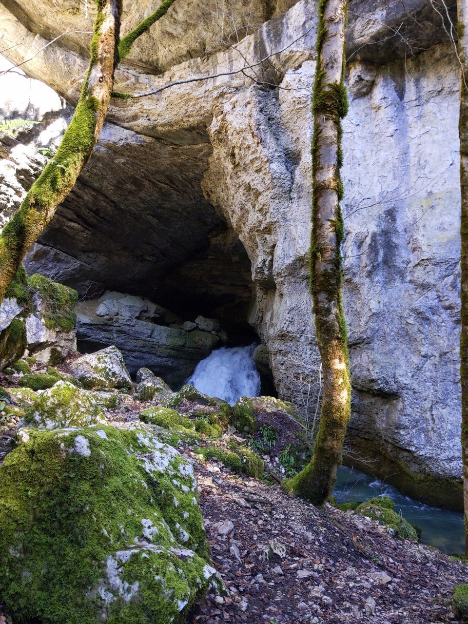 Source du Pontet