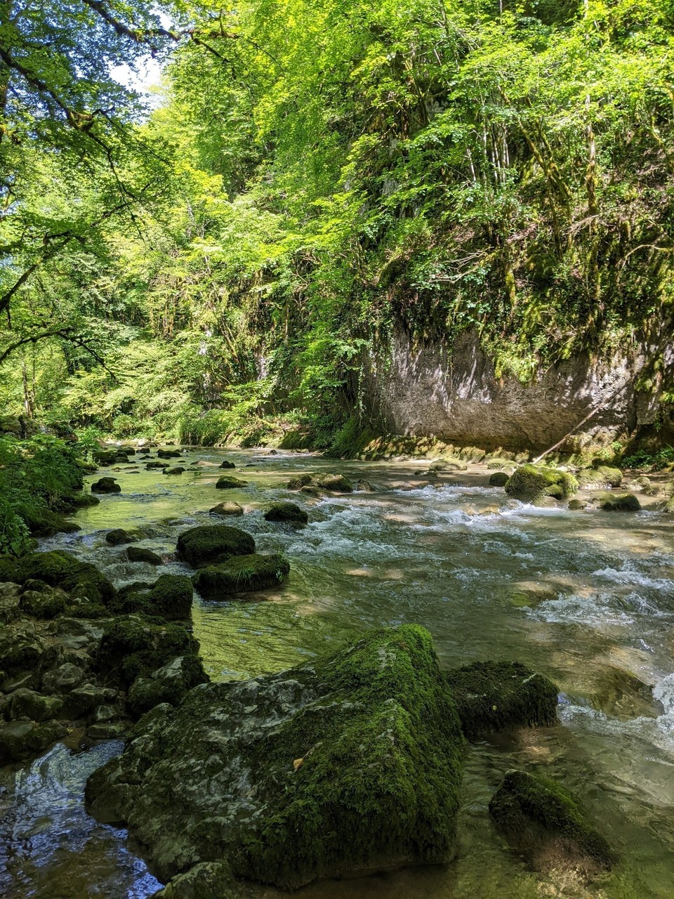 Sentier Courbet 6 : Le Ravin du Puits Noir, l'atelier en nature
