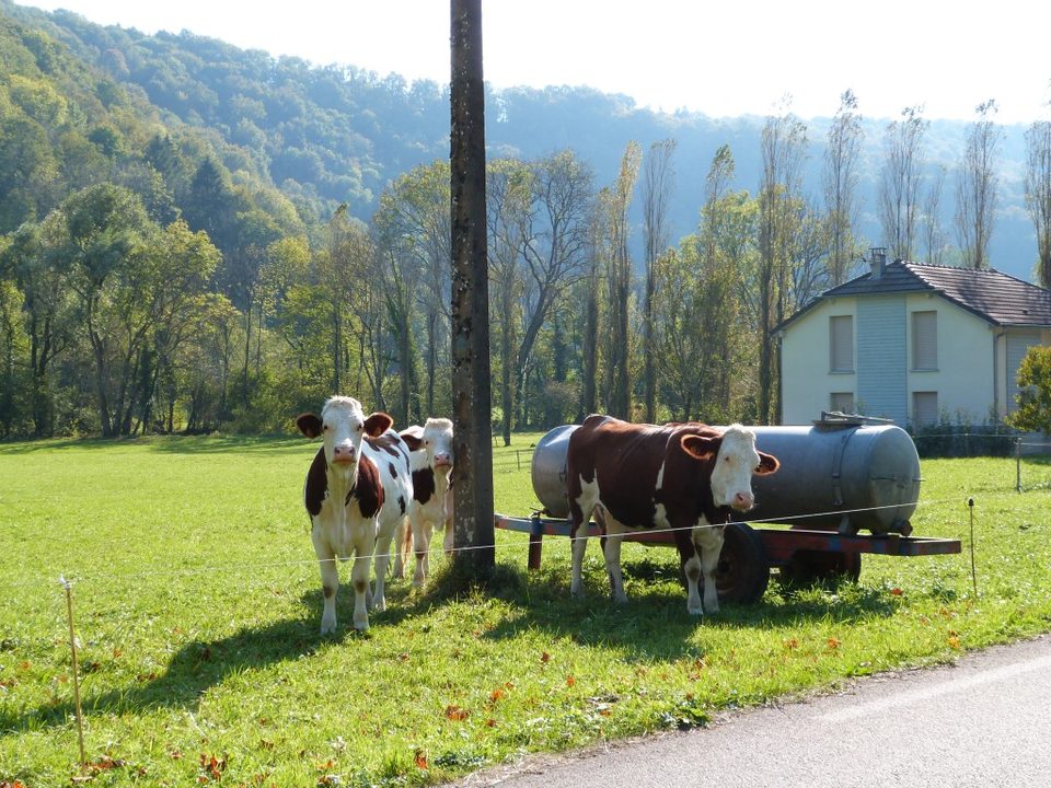 Guillon-les-Bains