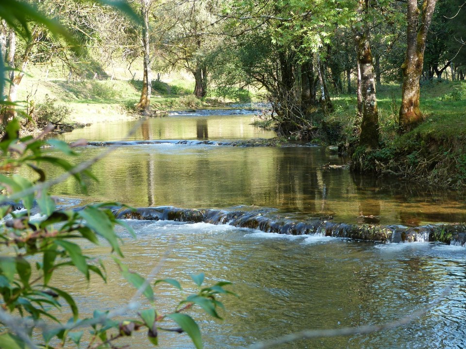 Bords du Cusancin