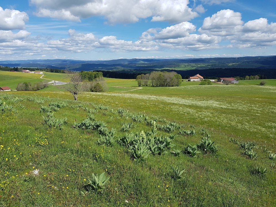 Crêt Monniot