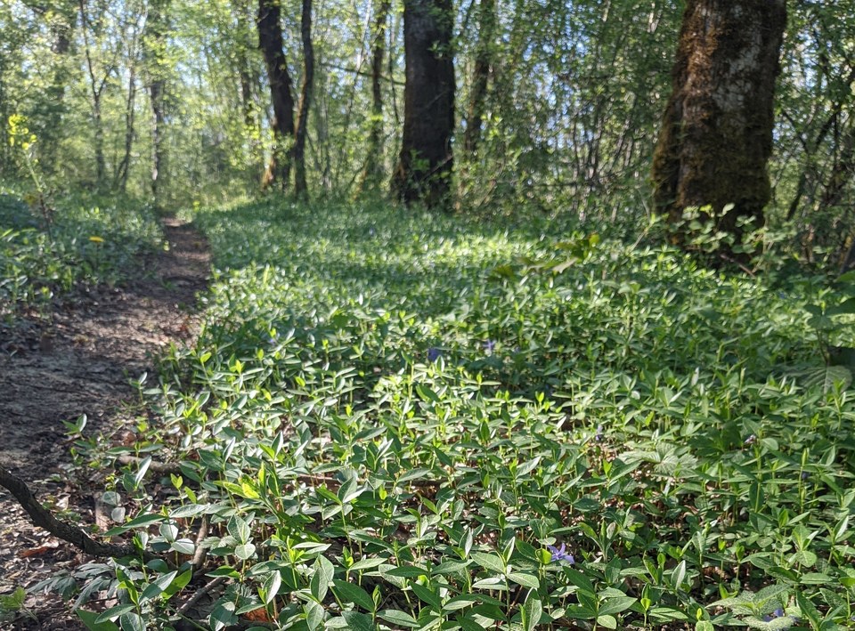 Sentier des dolines
