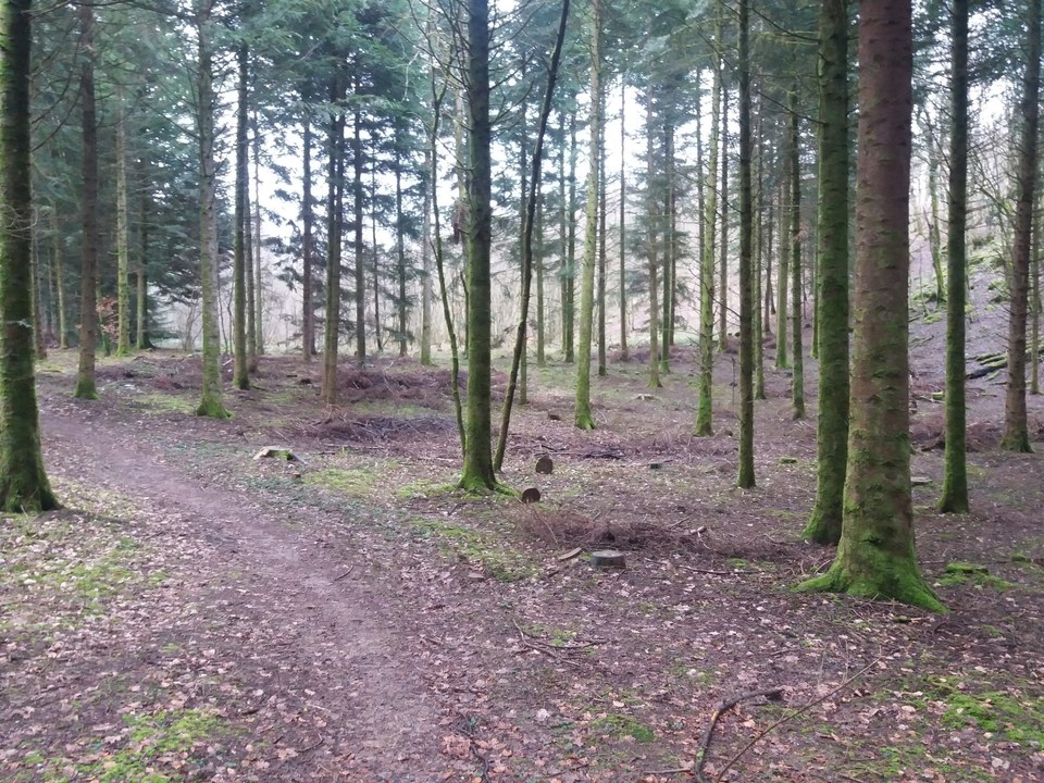 Sentier des dolines