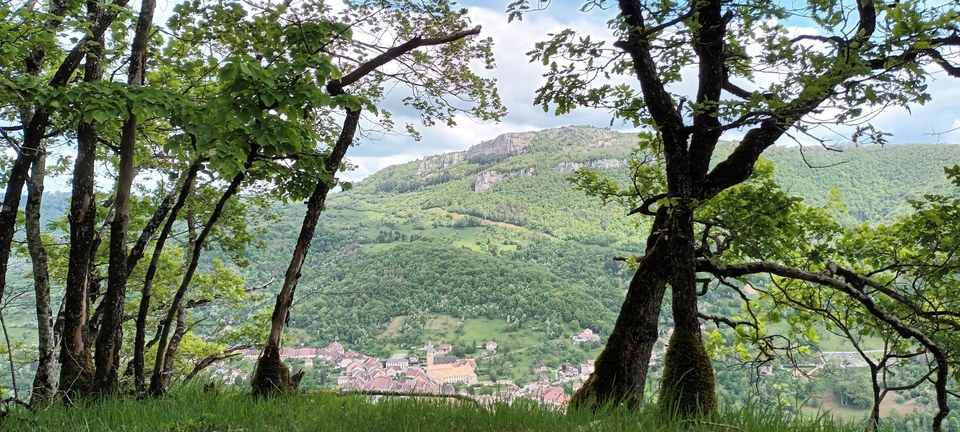 Moine de la Vallée