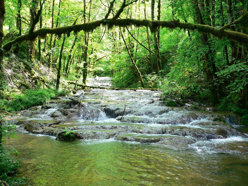 Le Ruisseau de Waroly, vallée du Dessoubre