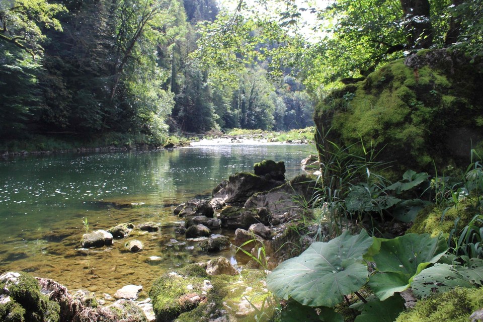 La Vallée du Doubs