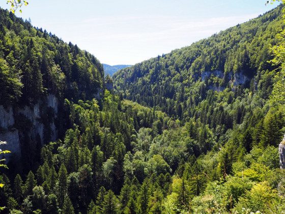 Les gorges du Doubs, depuis le belvédère des Échelles de la Mort