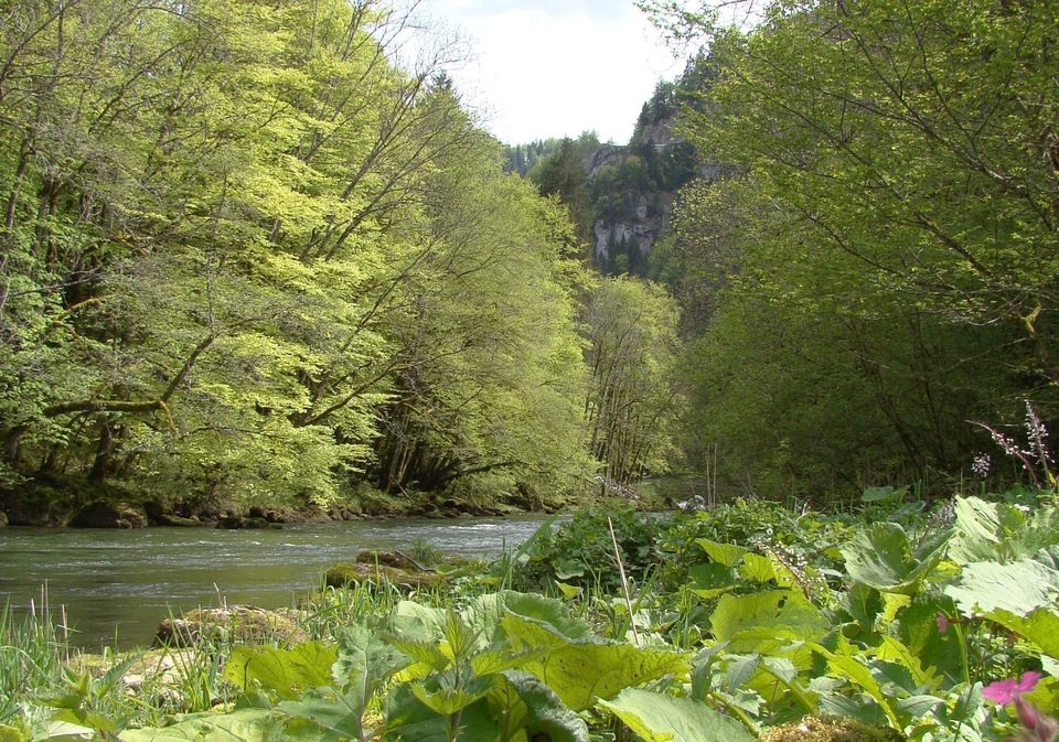 La Perle Franco-suisse