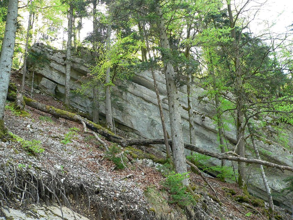 Les strates calcaires chamboulées du massif Jurassien