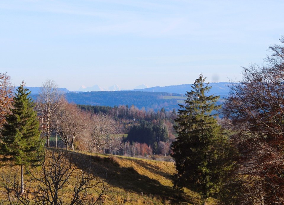 Village Haut