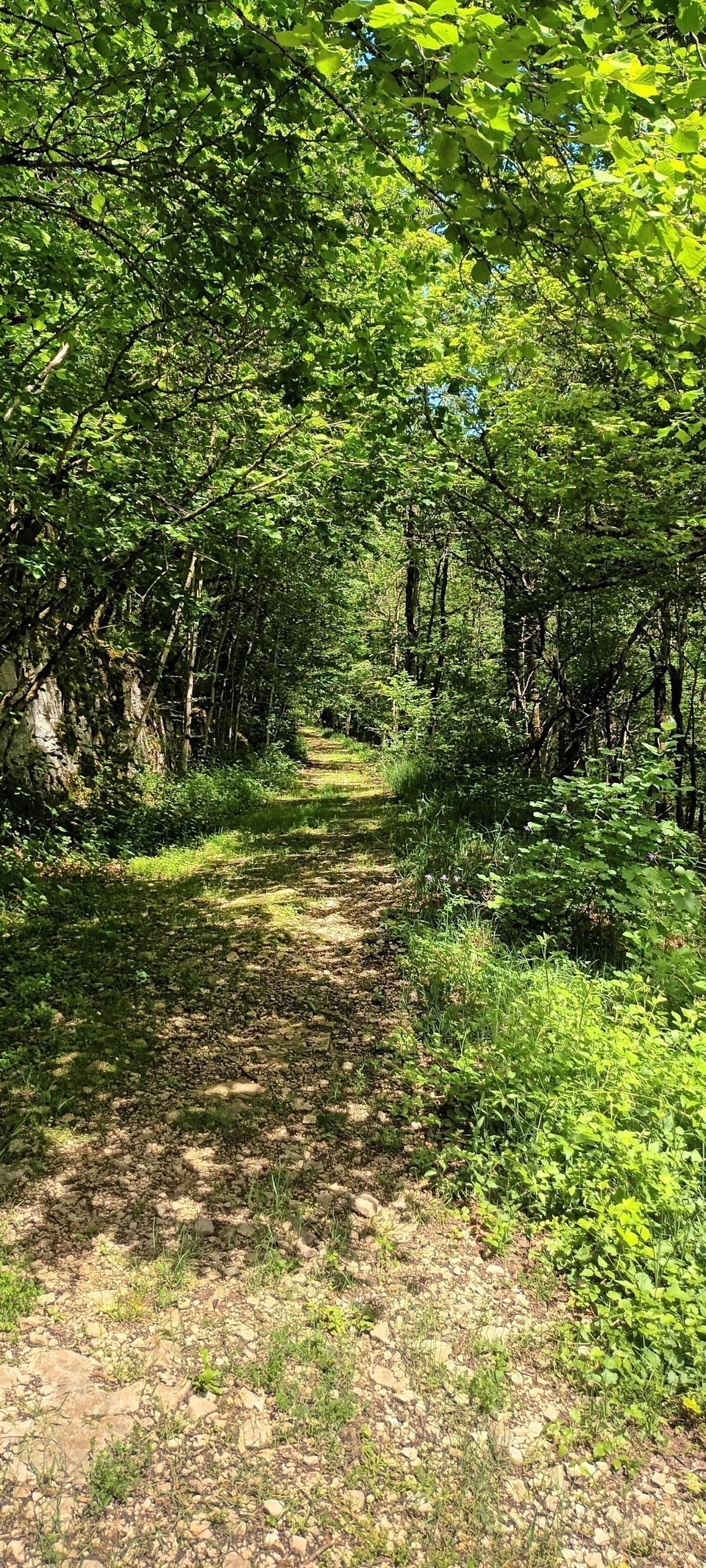 Éternoz, Vallée du Lison