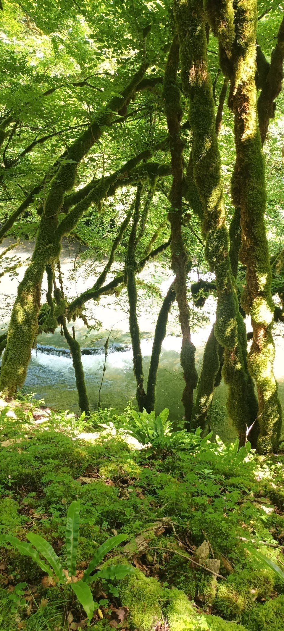 Éternoz, Vallée du Lison