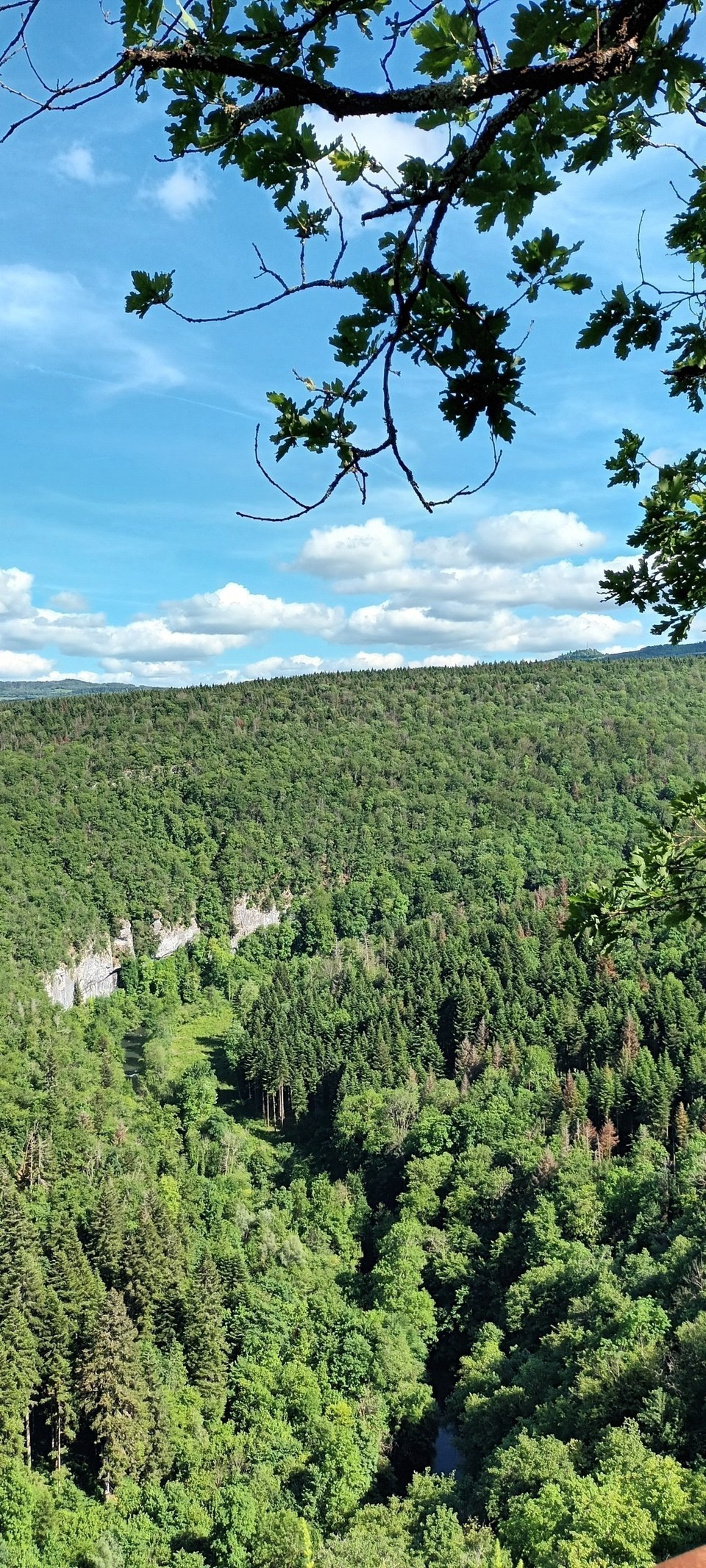La Gauloise