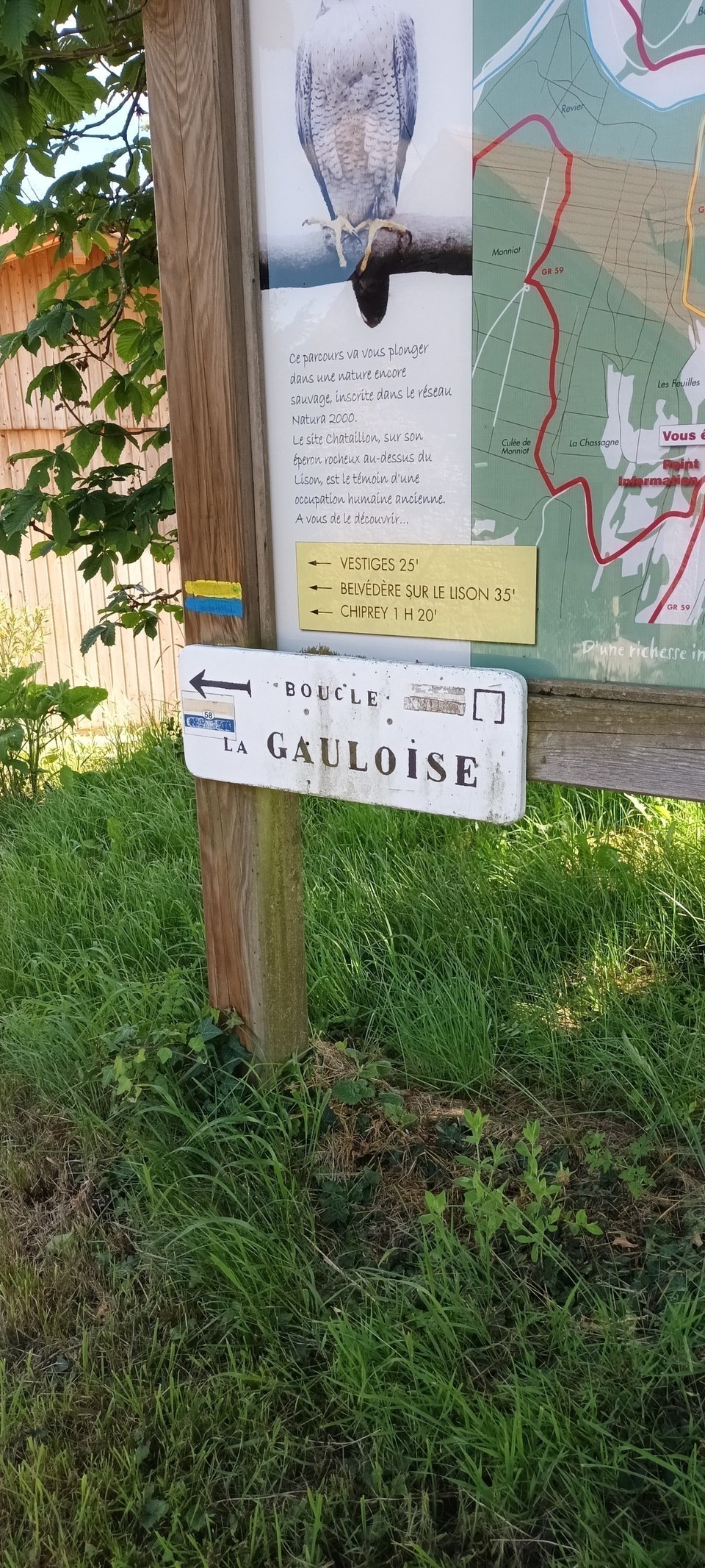 Alaise, la Gauloise