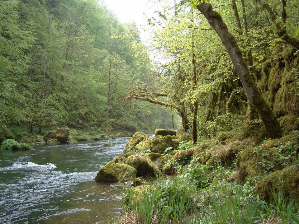Les Gorges du Doubs