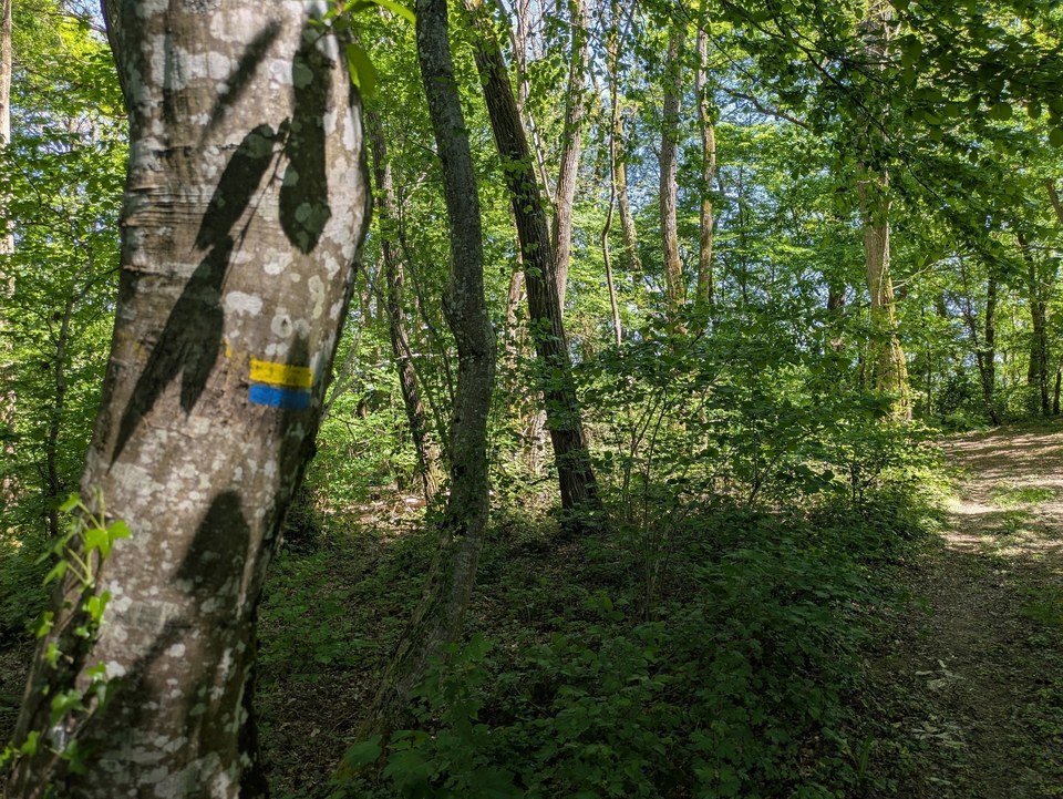 Valleroy et les berges de l'Ognon - Printemps 2026 - Crédit OT Doubs Baumois (11)