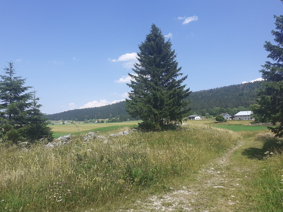 Sur le sentier de la Combe des Cives