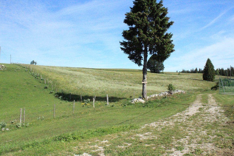 Val de Mouthe - Chapelle-des-Bois